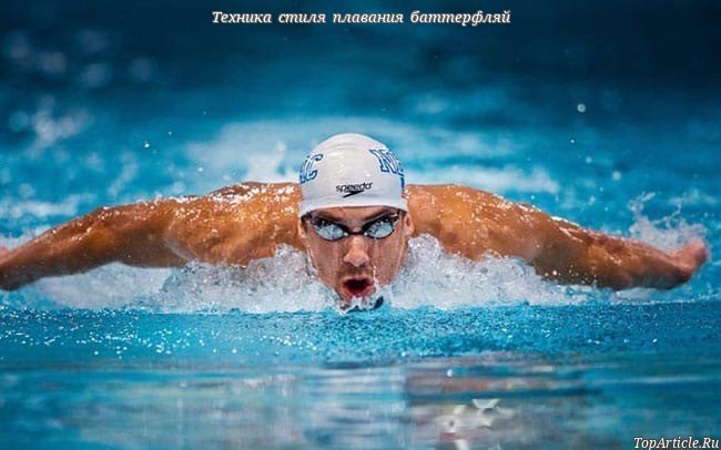 Открыть в полный размер