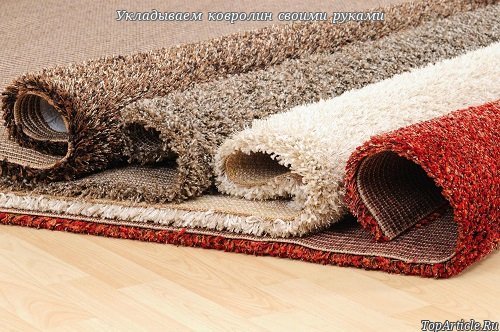 Открыть в полный размер